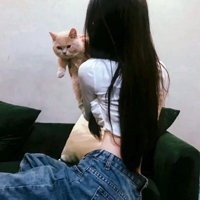 铁血英豪